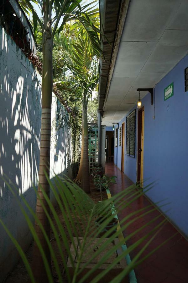 Hotel Malinche León Exteriér fotografie